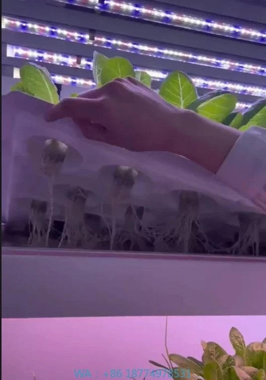 f المعدات الزراعية الدفيئة تنمو الفطر الخضار الفاكهة العمودي مزرعة نظام البرج المائية غلاف زراعة داخلي