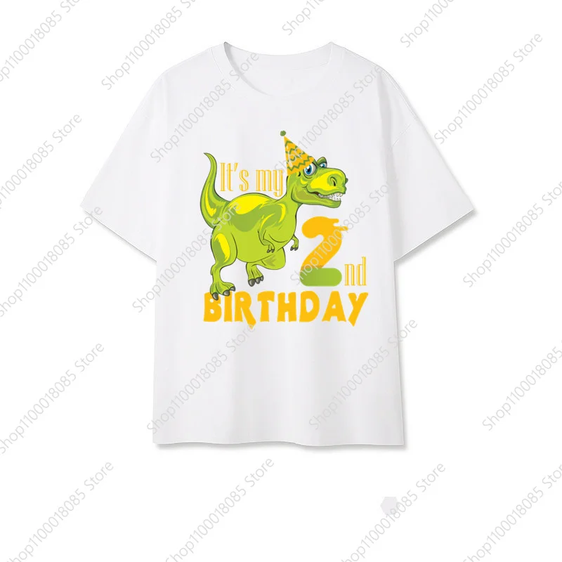 

Children's Dinosaur 1-8 Birthday Number T-shirt Wild T-shirt Boys and Girls Party T-shirt Dino Theme Clothing TopT-shirt