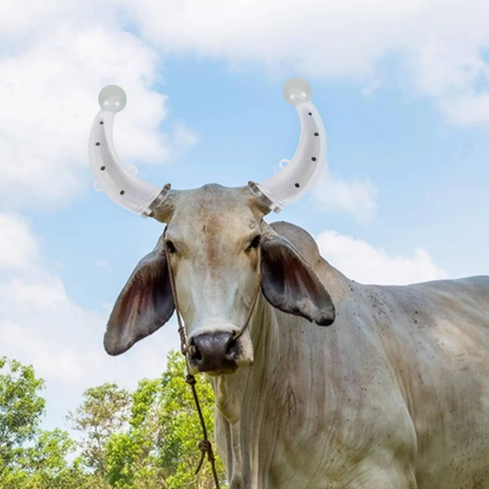 Silicone Cow Bovine Protrusion Cover Secure Clamp Cow Bovine Protrusion Cover Long-Lasting Comfortable for Farm, Ranch
