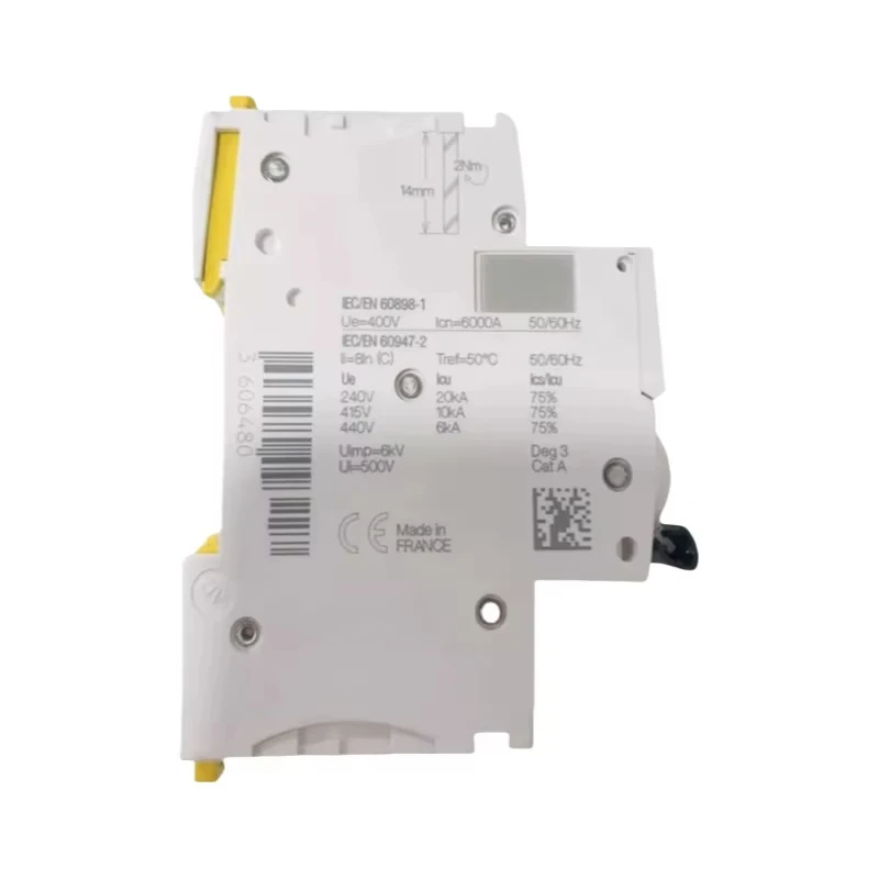 A9F74206 10A 16A 2P Miniature Circuit Breaker IC60N MCB C Curve 250V 4.5kA Industrial Electrical Protection Switch