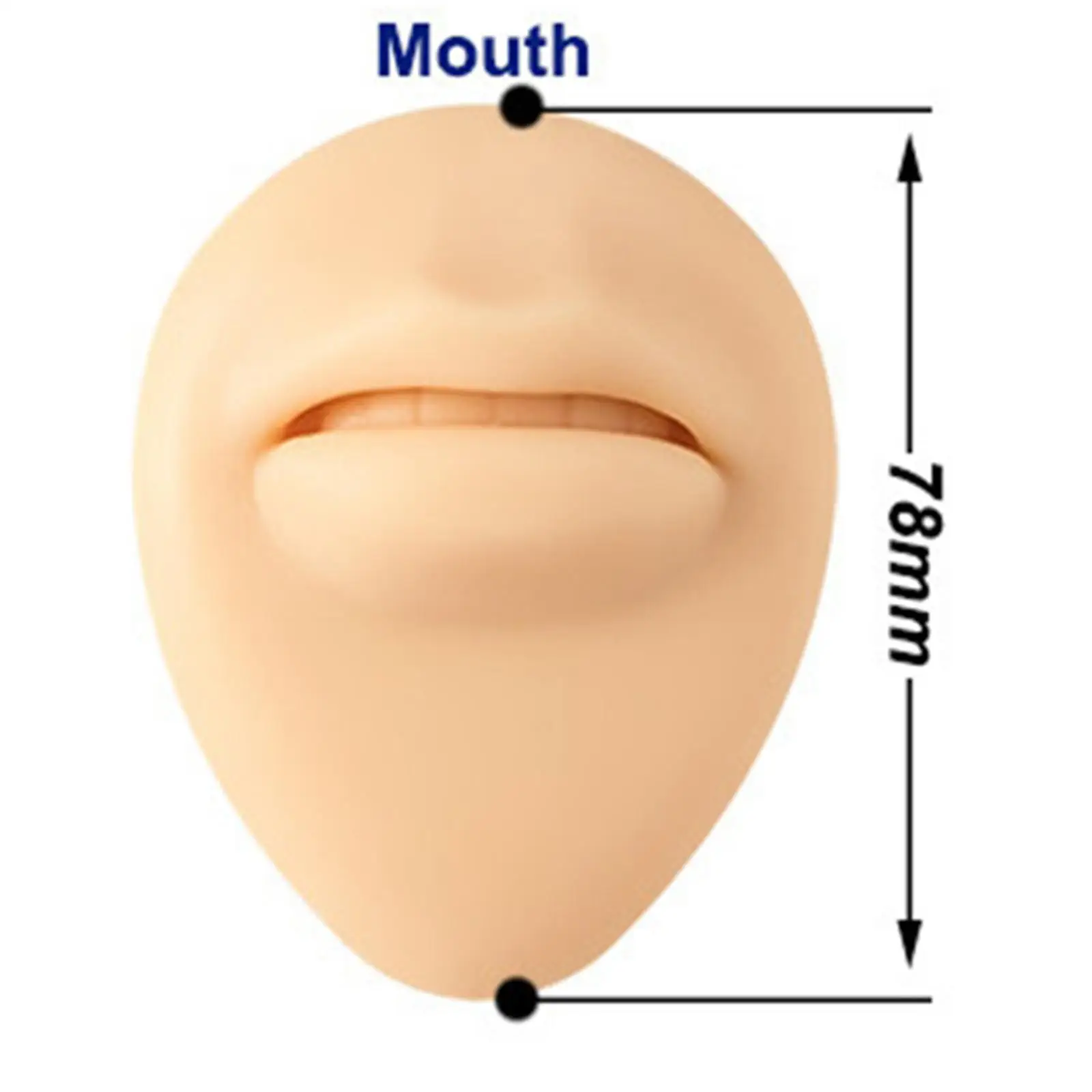 Modelo de boca flexible de silicona artificial Modelo de parte facial delicada para principiantes de ejercicios