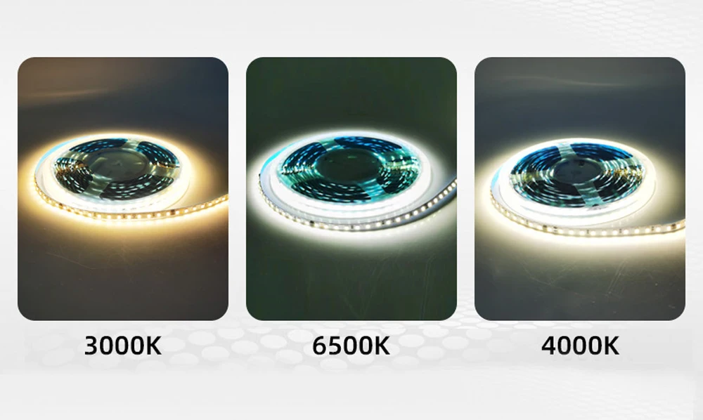 6mm 8mm 10mm 220V Taśma LED 120 240LEDs/M 2825 Elastyczna taśma LED Biała Ciepła biel 4000K 6000K 5M 10M