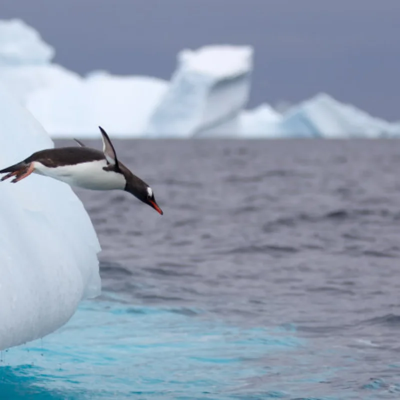 

1/16 MOJAVE GROM Sand Tire Water Tire for Arrma RC Car Upgrade Parts Accessories