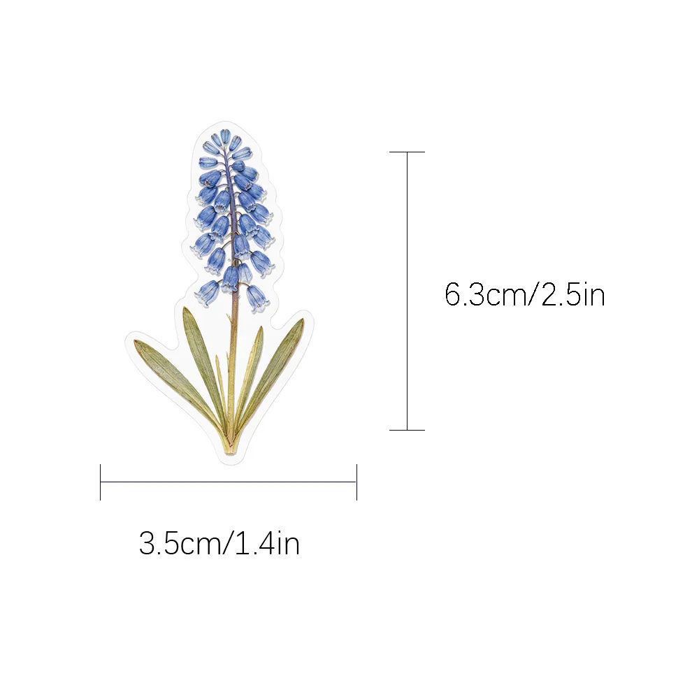 50pcs Pressed Flower Stickers, Watercolor Botanical Floral Waterproof Decals for Journal Water Bottle Luggage Laptop Pencil Case
