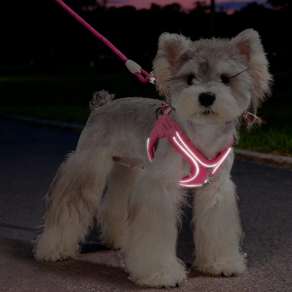 Thumbnail 4 - #89 Reflective Dog Leash Ranking List in 2026