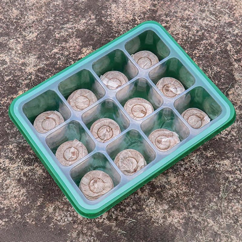 6/12 Holes Seed Starter Tray With Humidity Dome Succulent Propagation Tray Mini Greenhouse Germination Tray For Succulent Plant