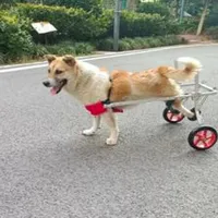 Pet Dog Wheelchair Elderly Dog Power Car Disabled Dog Rear Limb Booster Four-Wheel Wheelchair for Dogs and Cats