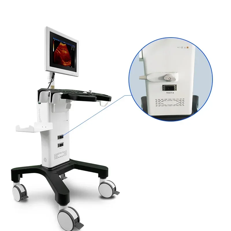 essential diagnostic Pregnancy Ultrasounds fetal image for Obstetricians and Gynecologists