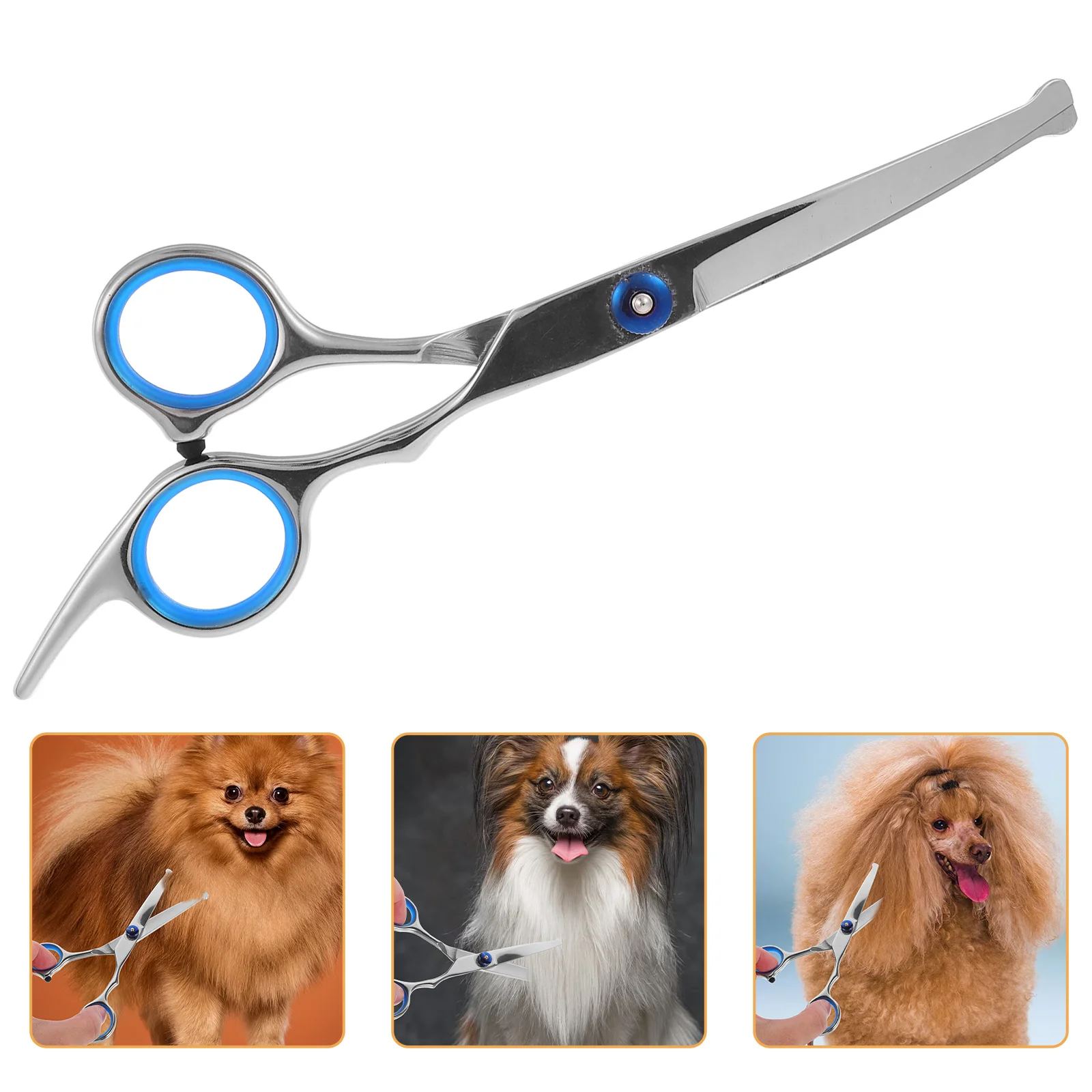 

1Pcs Pet Hairdressing Scissors Anti-Rust Stainless Steel Round Head Trimmer Ergonomic Grip Home Pet Salon Use Silver Blue Screws