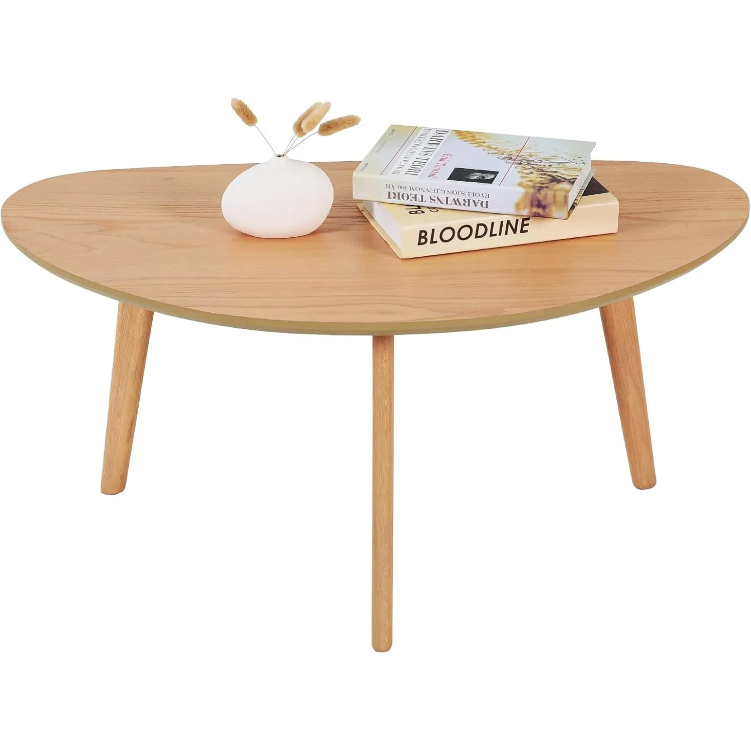 

Small Oval Coffee Table Mid Century Modern for Living Room Center Minimalist Display Coffe Table,Nature Wood