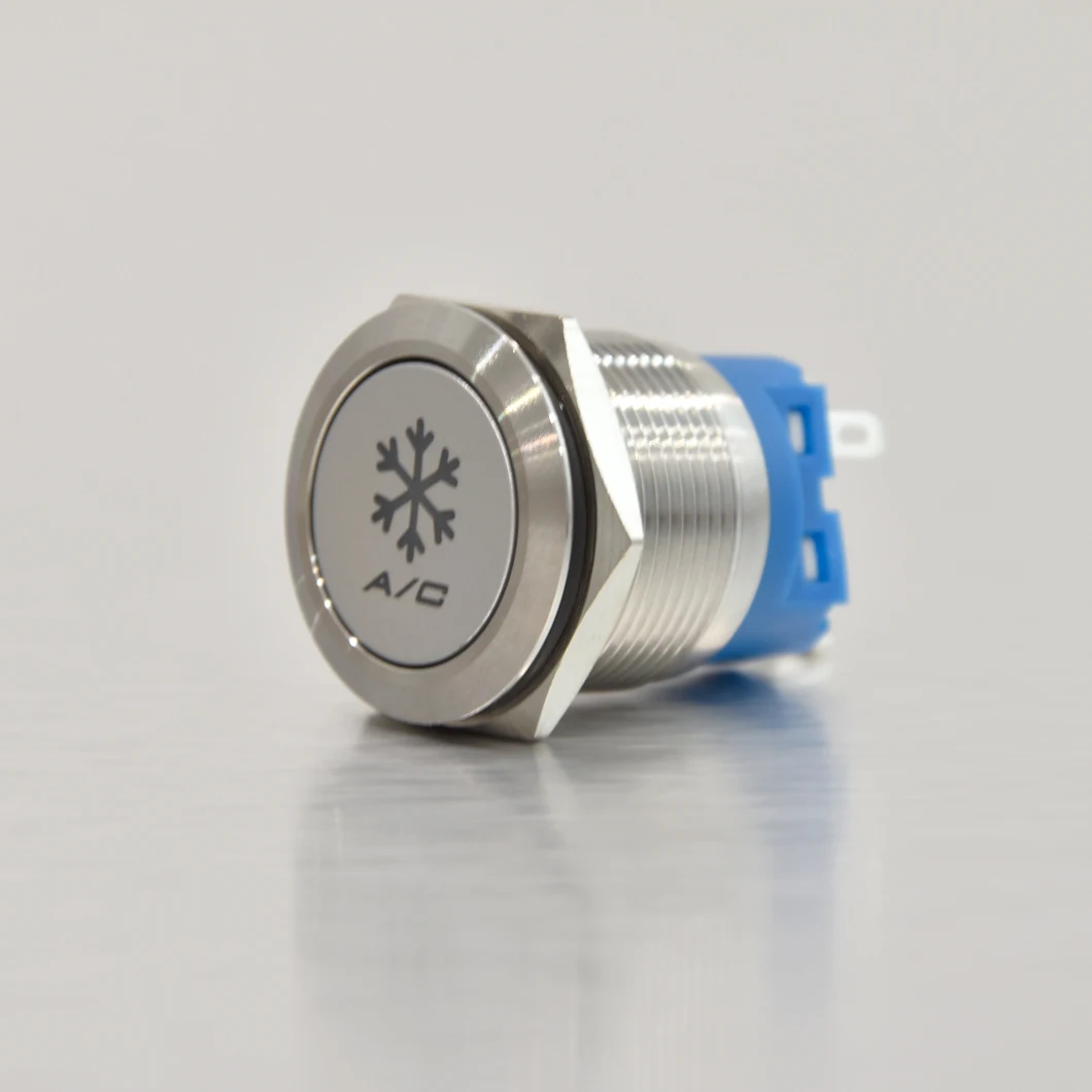 ABILKEEN 19/22 мм индивидуальный снежный символ переменного тока кнопочный переключатель 3-220 В 3A 1NO1NC металлический кнопочный переключатель мгновенного/фиксации ABILKEEN 19/22 мм индивидуальный снежный символ переменного тока кнопочный переключатель 3-220 В 3A 1NO1NC металлический кнопочный переключатель мгновенного/фиксации