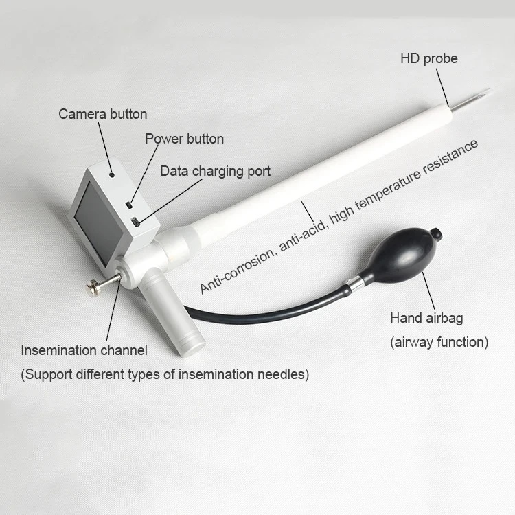 Animal Equipment Cattle Visual Insemination Cow Visual Insemination