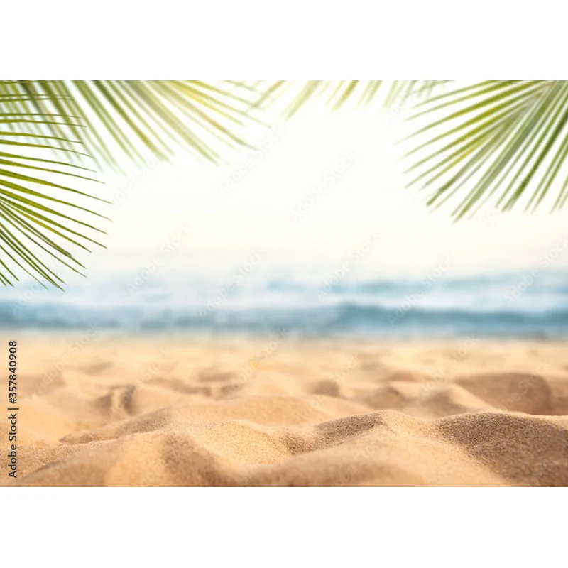 ภาพทิวทัศน์ทะเลต้นปาล์มชายหาดเขตร้อนฉากหลังถ่ายภาพสตูดิโอถ่ายภาพ hhb 15