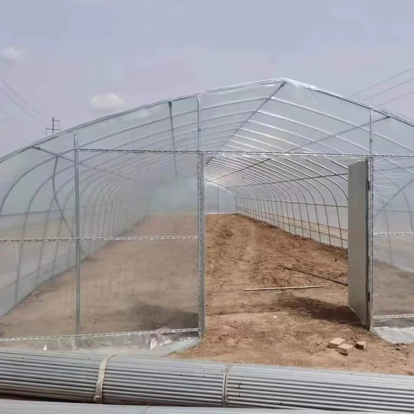 

Customized greenhouseLow Cost Galvanized Frame Single-span Film Greenhouse Agricultural Tunnel Greenhouse