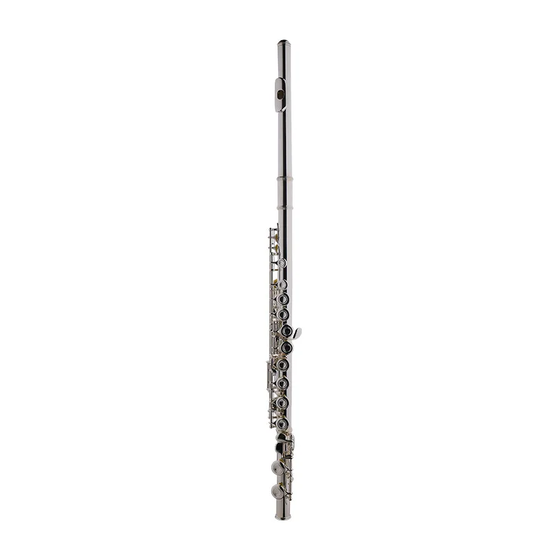 

Flute Band Playing, Beginner Flute, Professional Instruments, Adult Student, Silver Plated Flute
