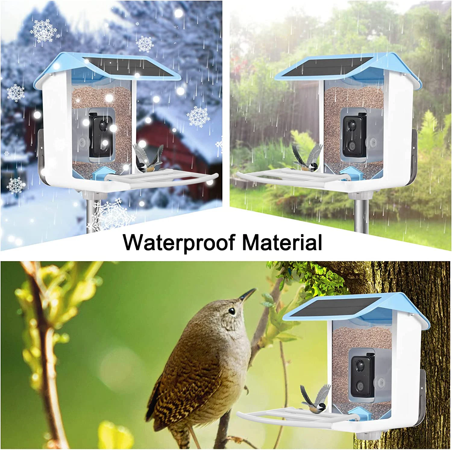 Imagem -03 - Alimentador Solar Smart Bird com Câmera 1080hd Night Vision Reconhecimento ai Conexão de Alimentador de Espécies Captura Automática