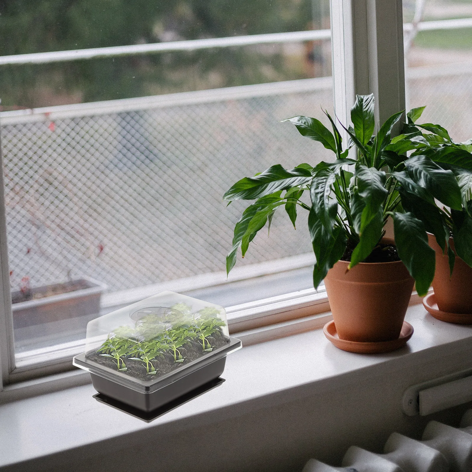 

2 set Plant Nursery Box Plastic Propagator Tray For Seed Germination Garden Growing Tool Succulent Planter Pot Home Balcony