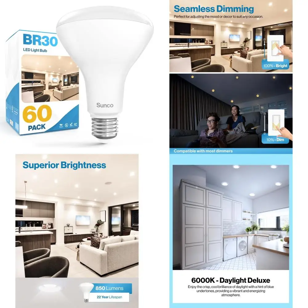Led BR30 Recessed C…