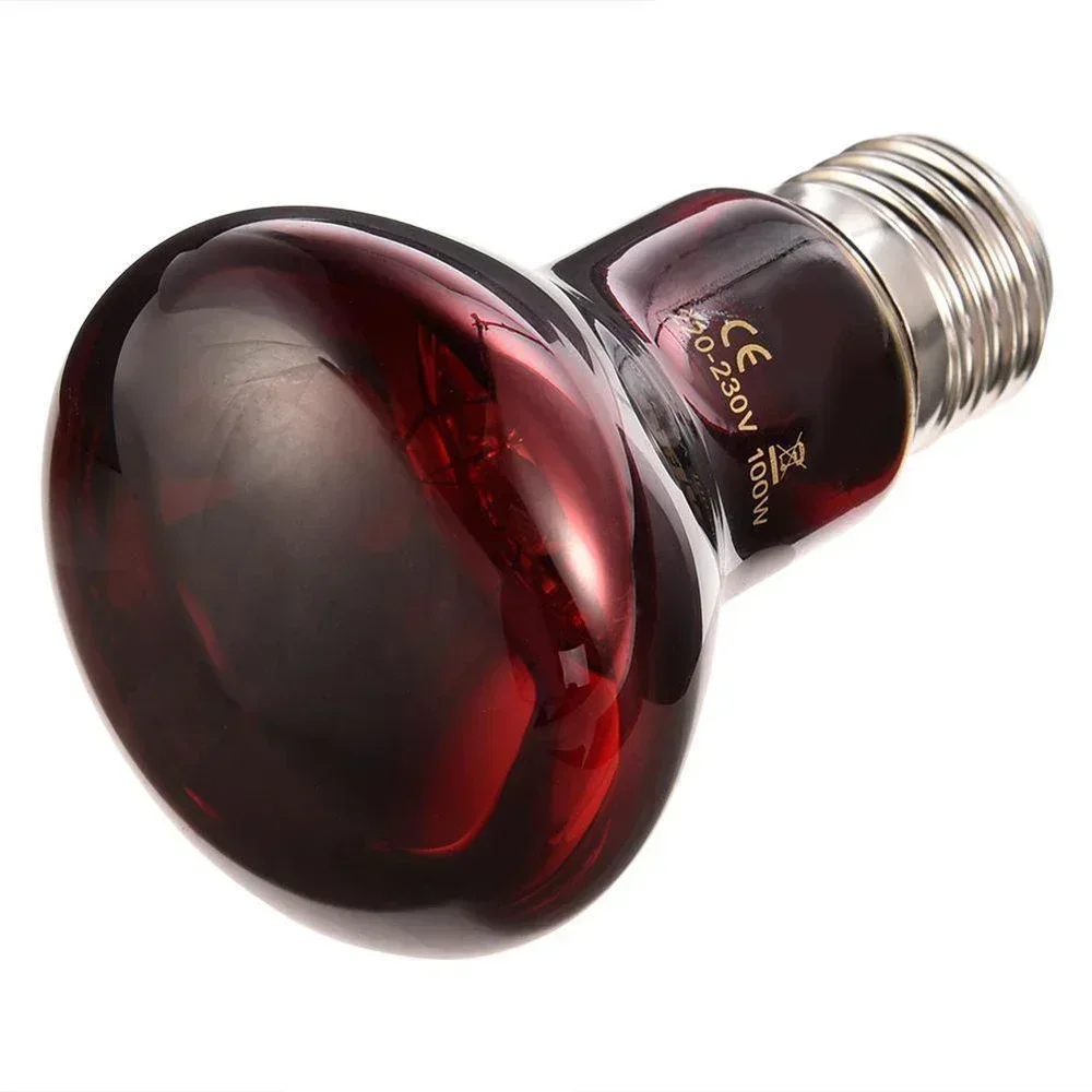 Lampe chauffante rouge amphibie UVA, ampoule en verre infrarouge, reptile, salle, lézard, accessoires, 220V, 25W, 50W, 40W, 75W, 100W