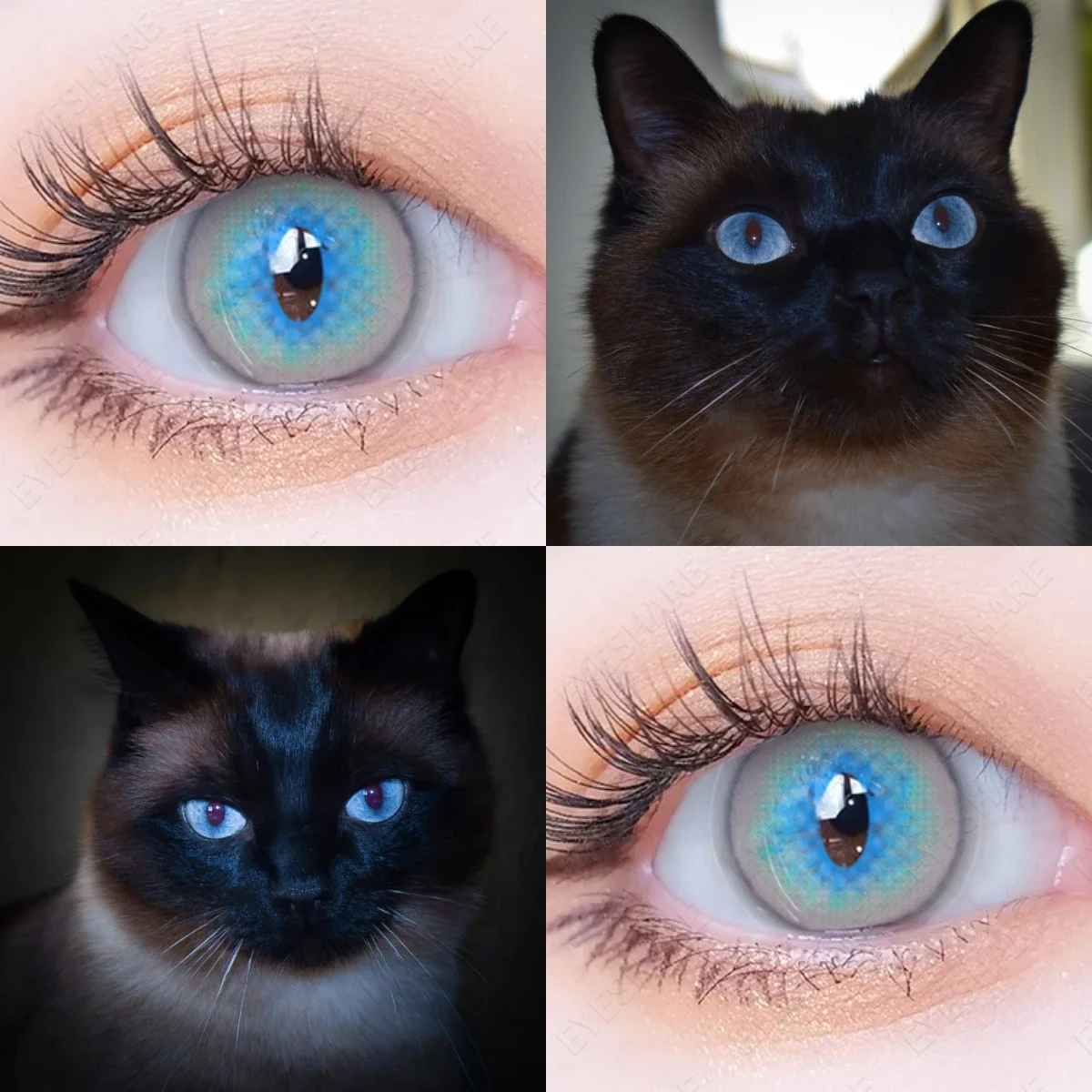 AMARA CAT EYE Cosplay Blue Color Contact Lenses for Eyes Yearly Makeup Halloween Beauty Yellow Contact Lenses Eye Cosmetic