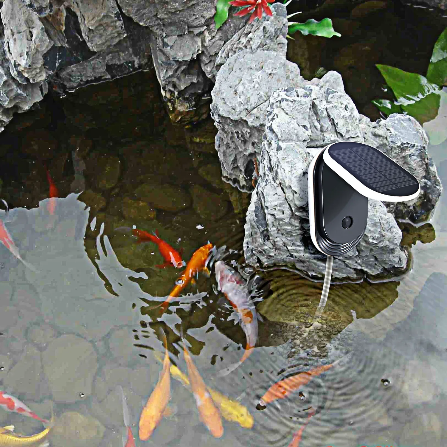 

Solar Powered Oxygen Booster Pump, Household Yard Pond Fish Tank, Oxygen Generator, Dual Purpose, Outdoor Small Oxygen Pump