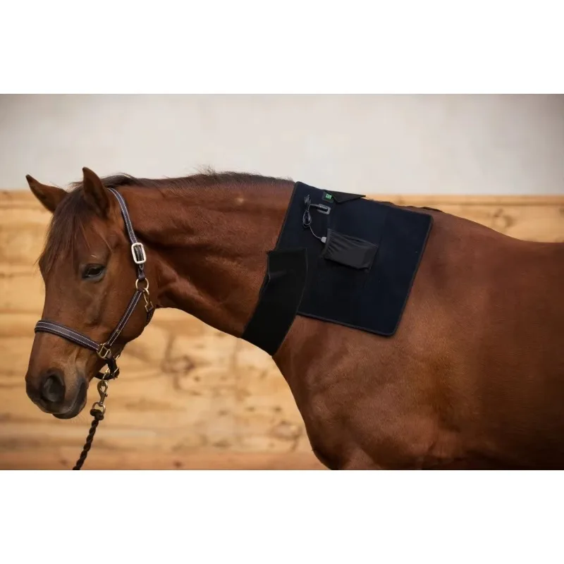 LED Red Light Therapy Mat Horse Leg & Back Physiotherapy Pet Health Care Equipment