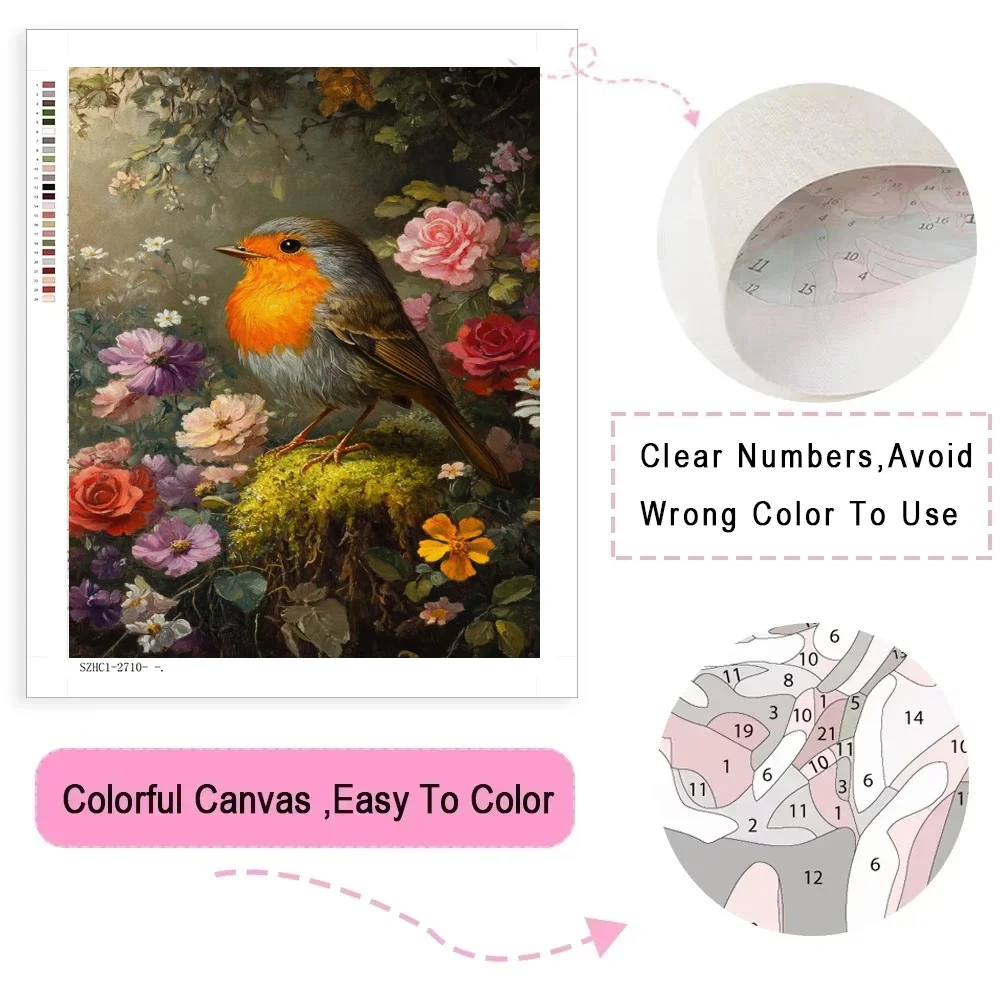 Acrylic Paint By Numbers  Robin Bird Painting By Numbers on Canvas Coloring By Number for Adults Paint Digital Art