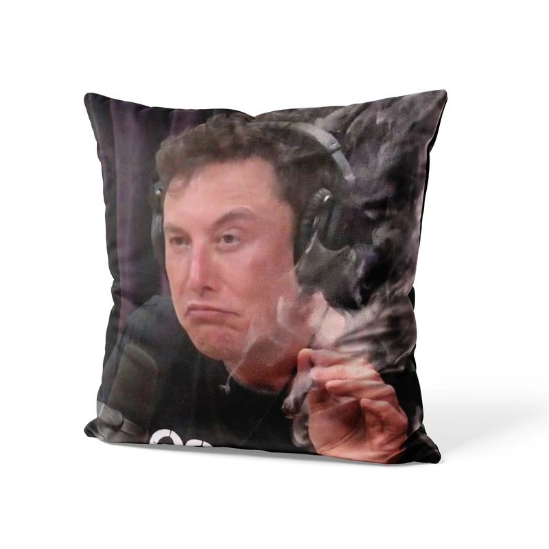 Aertemisi 18'' x 18'' Elon Musk Blunt Meme Square Throw Pillow Cushion Covers Cases Pillowcases for Sofa 45cm x 45cm