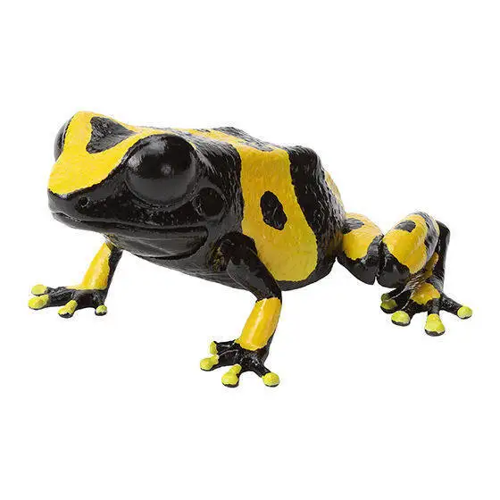 Bandai Creature Encyclopedia: Dart Frog, Frog & Strawberry  Dart Frog Realistic Animal Figure Decoration Model Toy view 5