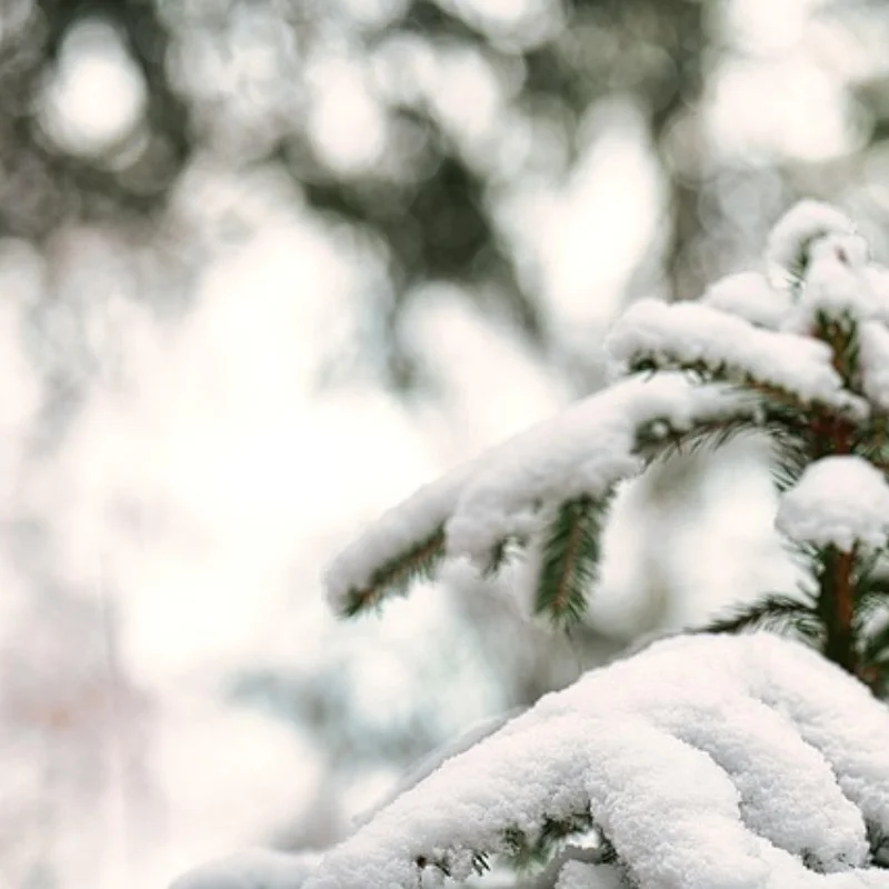 

Carbon Fiber Front and Rear Shock Tower Damper Stay 54452 54453 for Tamiya XV01 XV-01 1/10 RC Car Upgrade Parts Accessories