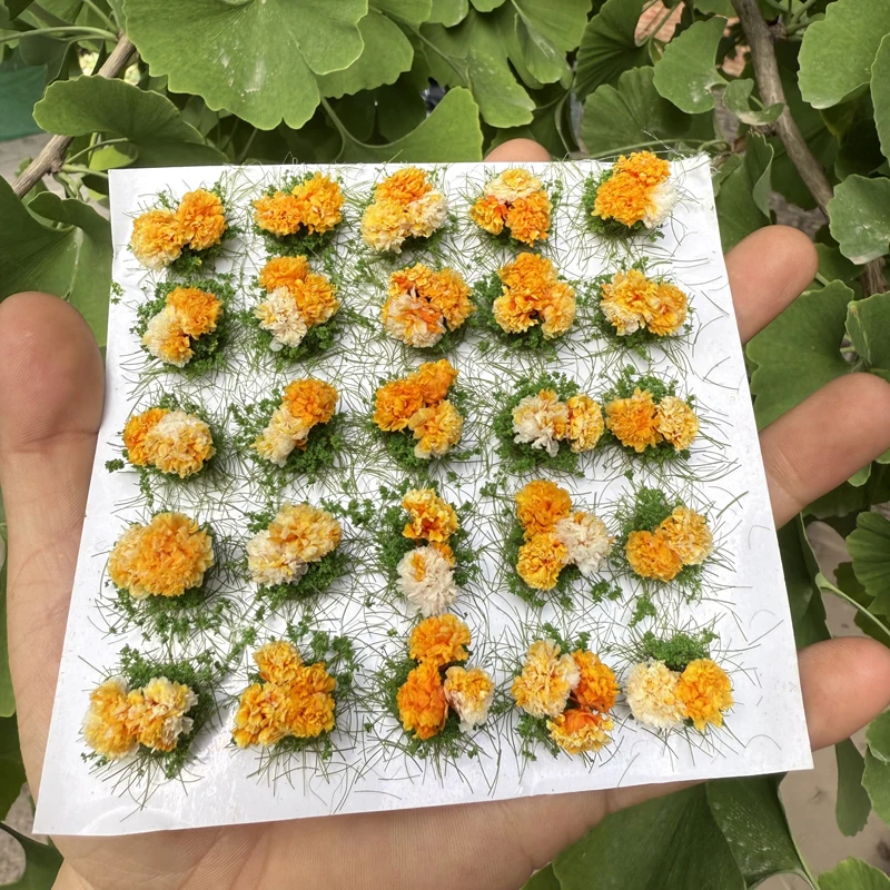 25 Stück 10 mm Miniatur-Blumencluster-Modell, statische Grasbüschel, Sandtisch-Layout, Szene, Modell, Mikro-Landschaftsdekoration, DIY-Handwerk