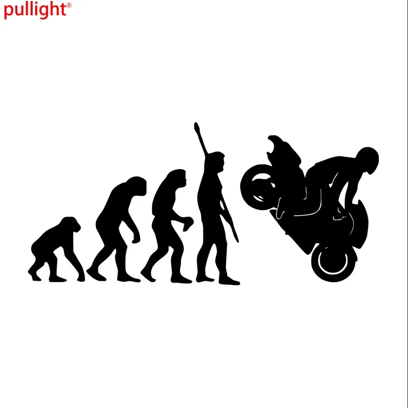 Human Evolution His… - image