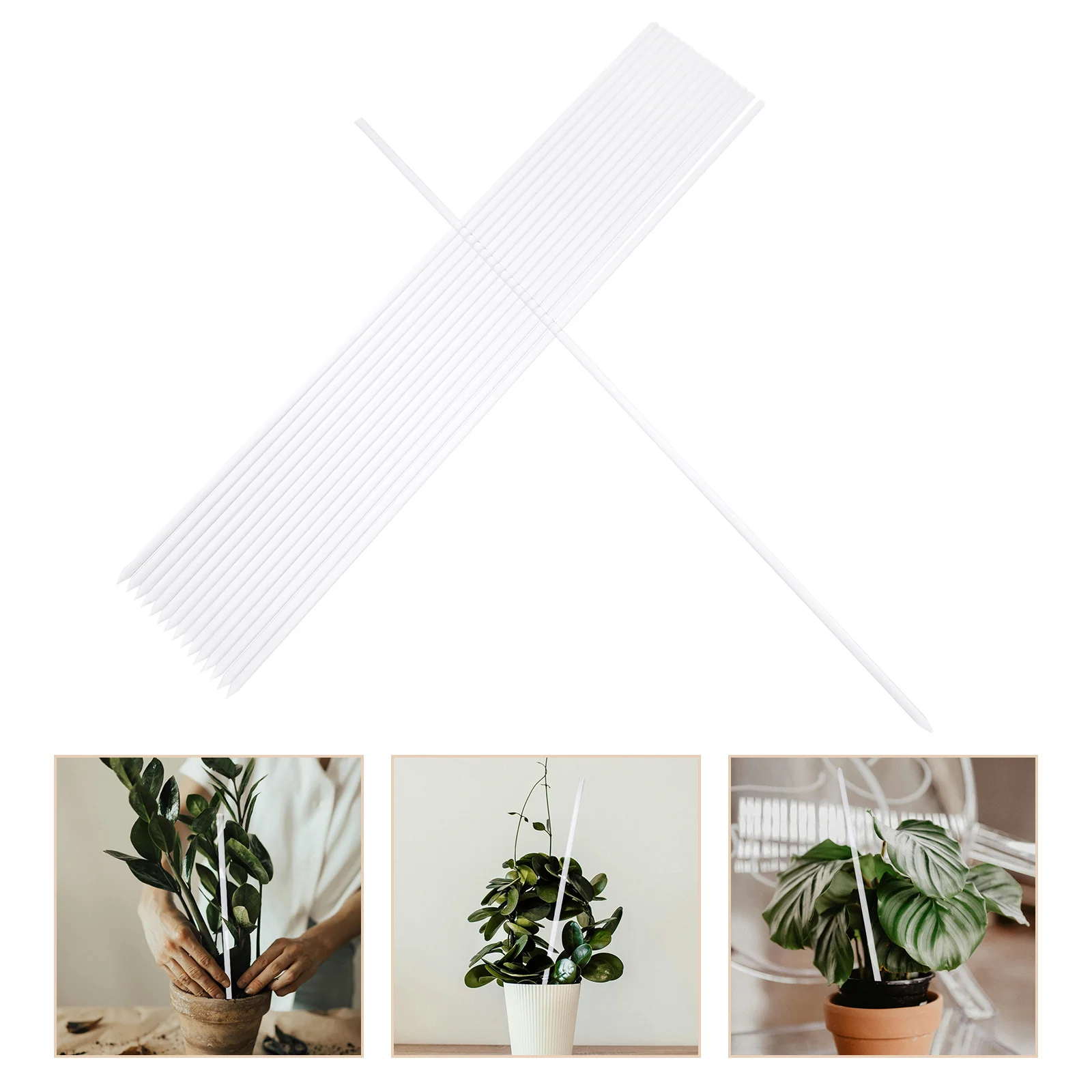 

16Pcs Transparent Acrylic Plant Stakes Orchid Support Indoor Outdoor Small Plant Climbing Holders Acrylic Stakes