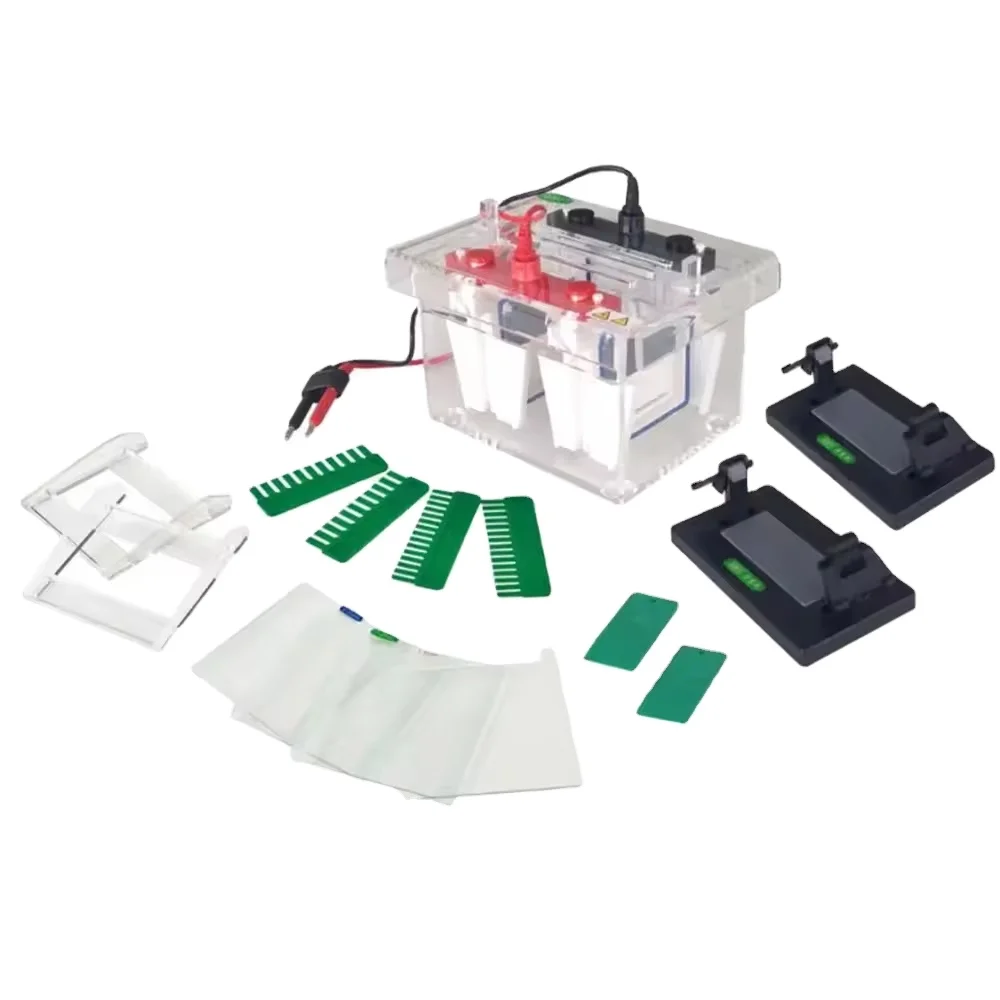 WISDOM BIO-RAD Gel Electrophoresis System Laboratory Electrophoresis Gel Use UV Transilluminator
