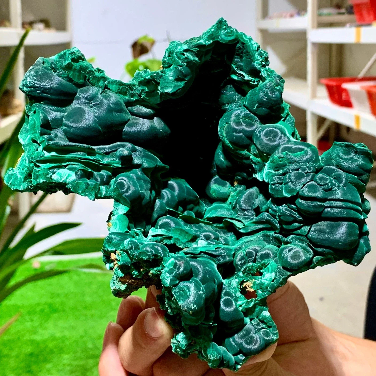 الملكيت المخملي الطبيعي، مجموعات كريستال من الحجر الخام الكريستالي، أحجار كريمة للطاقة مع خصائص الشفاء الروحي، العرافة #3