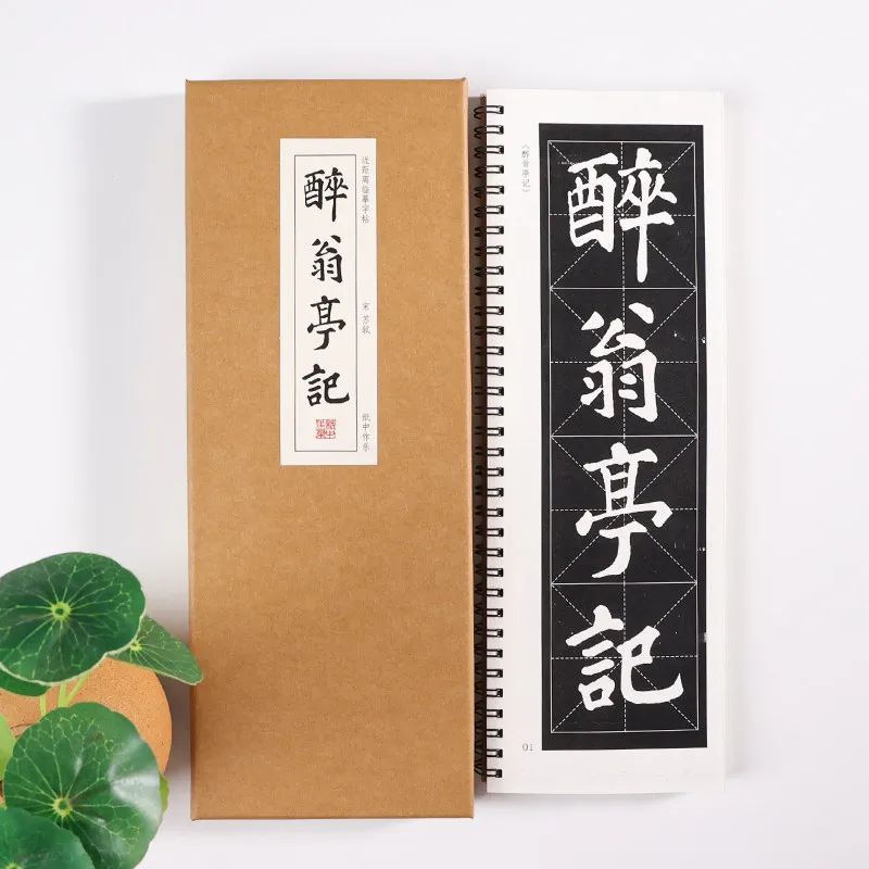 calligraphy-copybook-su-shi-regular-script-ode-to-the-drunkard's-pavilion-enlarge-chinese-characters-close-range-copying-cards
