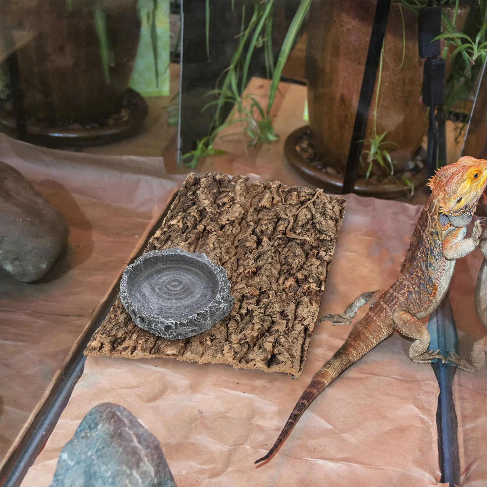 Water Dish Reptile - وعاء ماء للزواحف من الراتنج بنمط