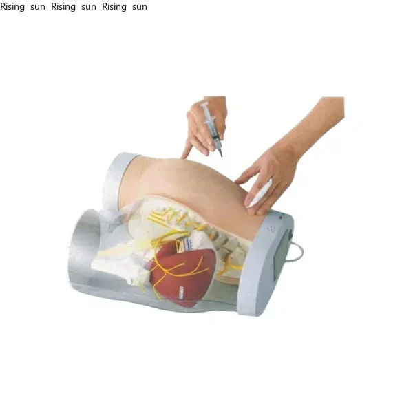 2025.4 Urethral Catheterization/intubation Set Training Simulator, Urethral Catheterization Manikin