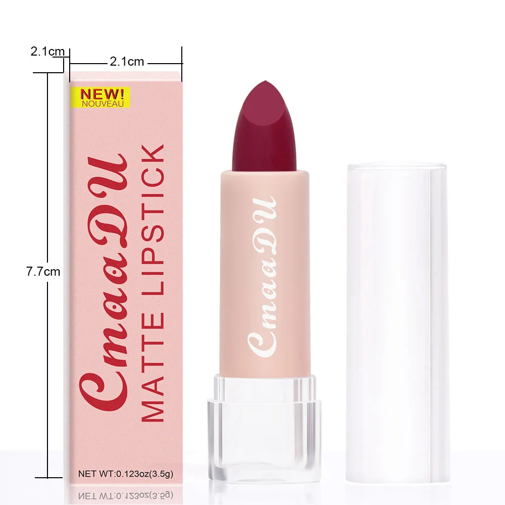 15 Colors Matte Lipsticks Waterproof Long Lasting Sexy Red Lip Stick Makeup Brown Velvet Pigments Lip Tint Profissional Cosmetic