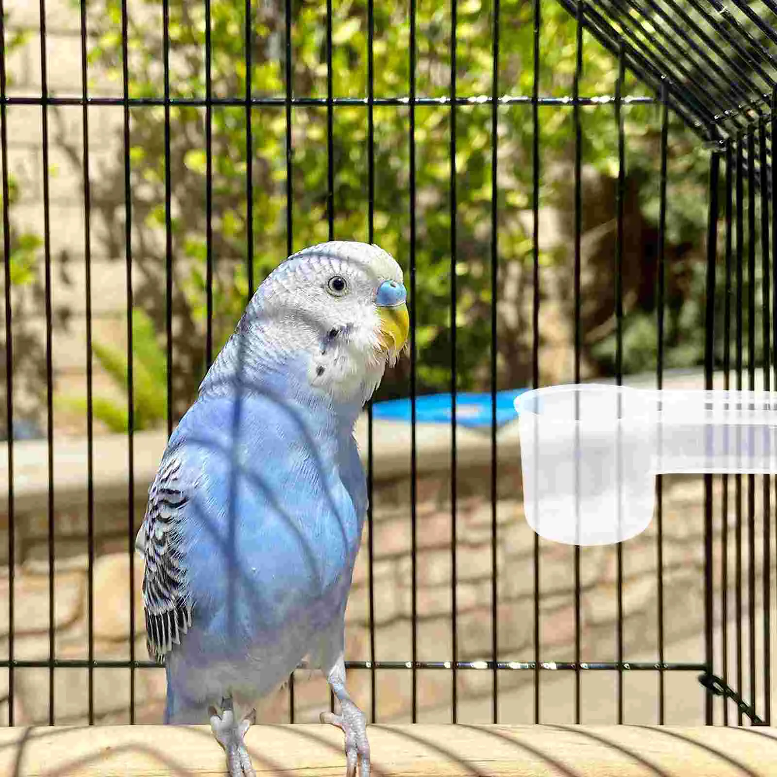 10pcs Birds Water Deflector Double Ports Waterer Creative Bird Drinker Feeding Supplies for Pigeon Parrot