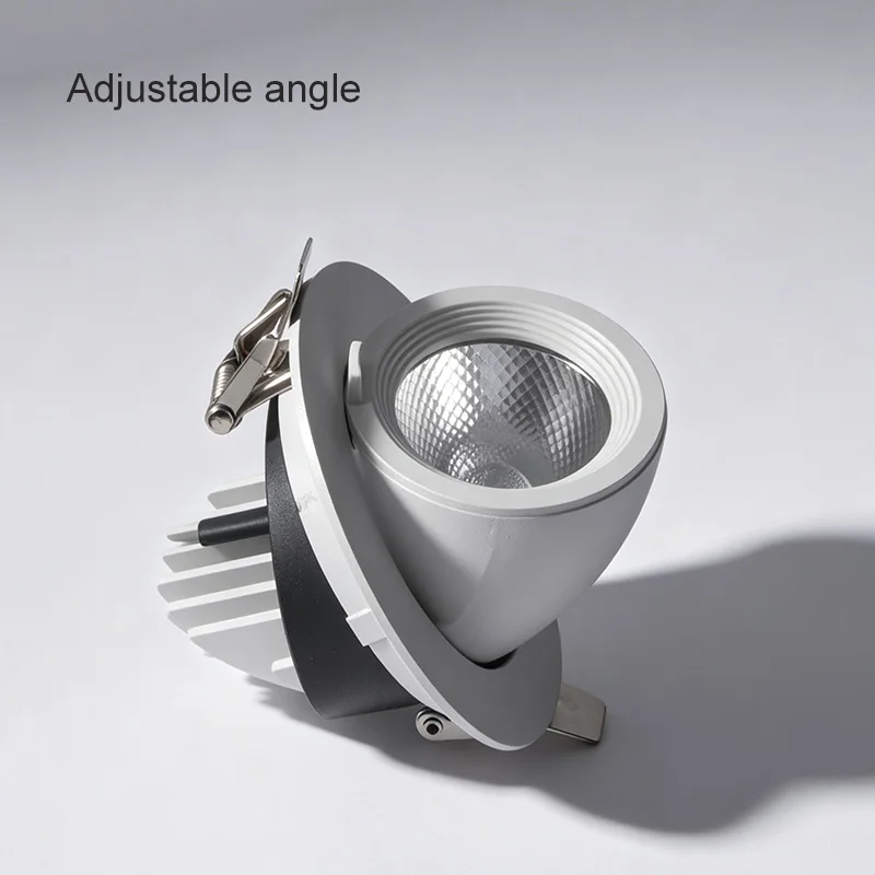 Aisilan  Elephant Trunk  Angle Adjustable Anti- Glare Cct Down Light for Living Room Commercial  Recessed Down Lights