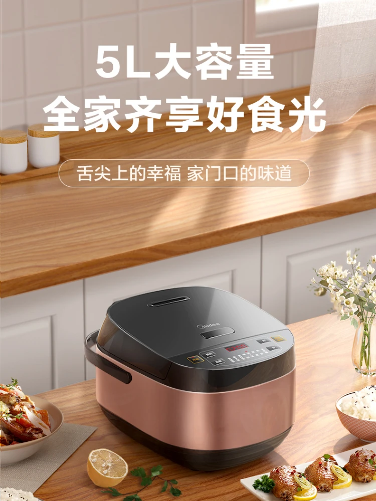 220v 220V Electric Rice Cooker 5L Large Capacity Multi-function Intelligent Reservation Metal Body Household Rice Cooker Riz