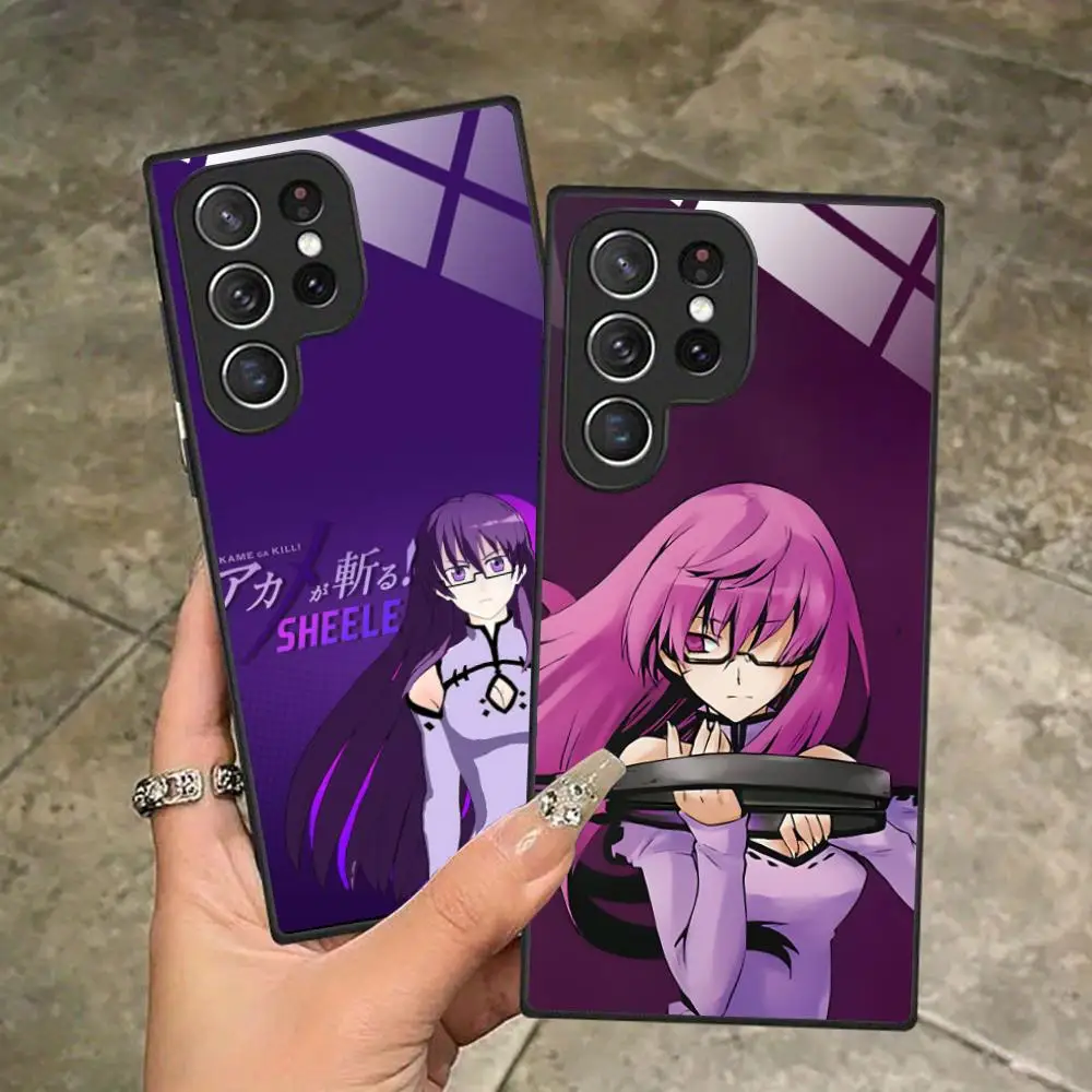 Akame Ga Kill Sheel… - image