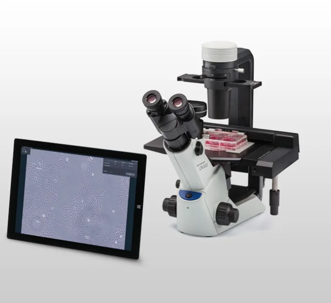 Olymps Ckx-ccsw Cell Density Examination Advanced Microscope