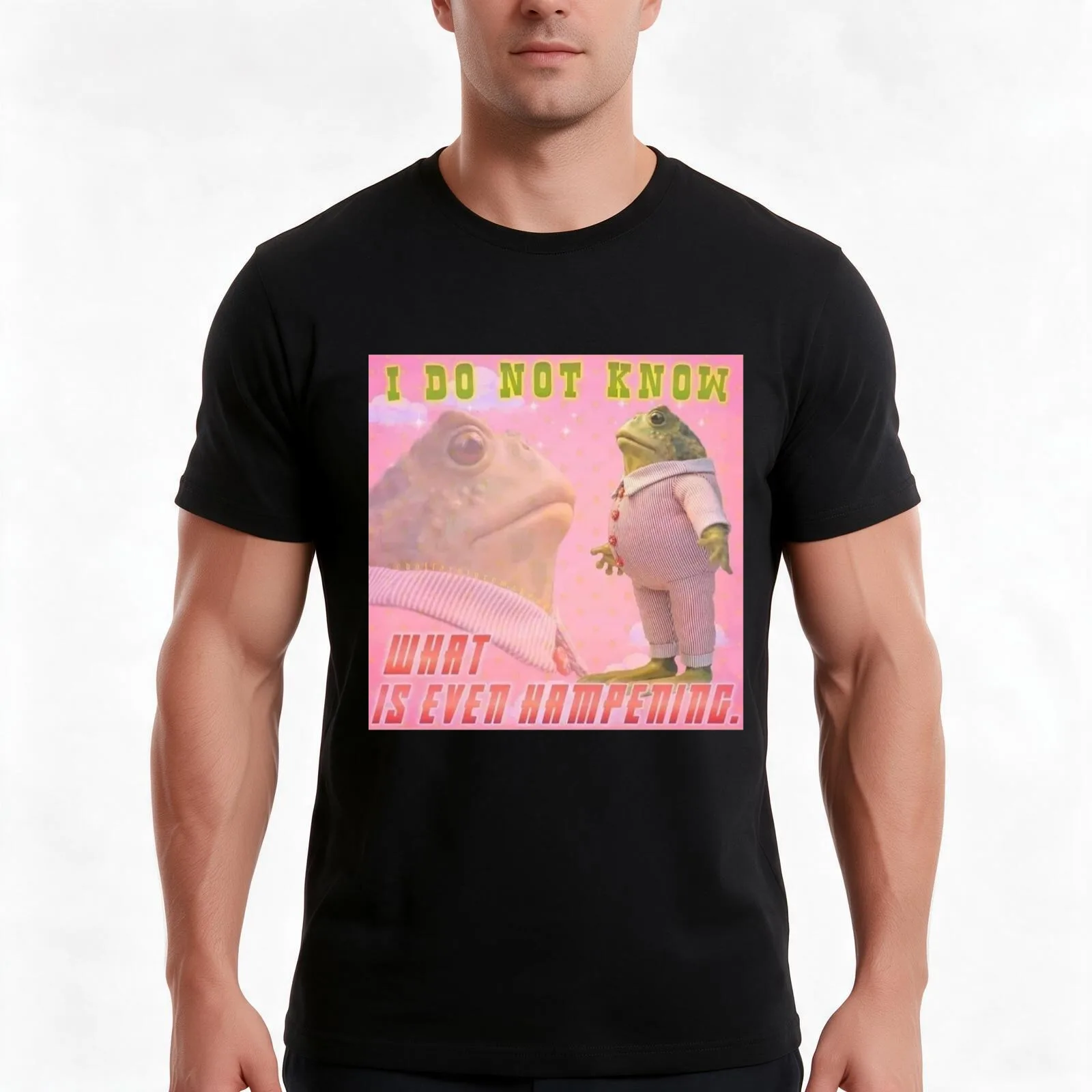 I do not know what is even hampening. T-Shirt, Summer Casual Cotton Tee, Oversized Streetwear Tops, Vintage Graphic Print