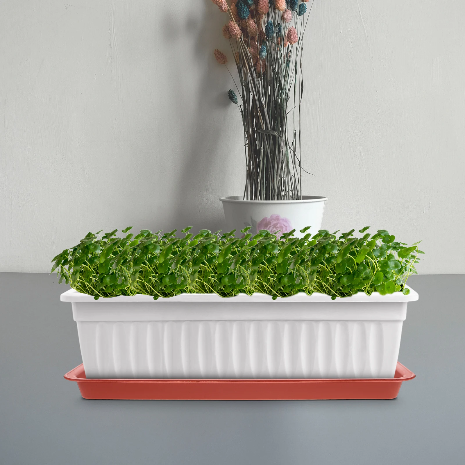 

8pcs Red Flower Pot Trays 33x17cm Plastic Plant Saucers Water Drainage Non for Garden Planter Bonsai