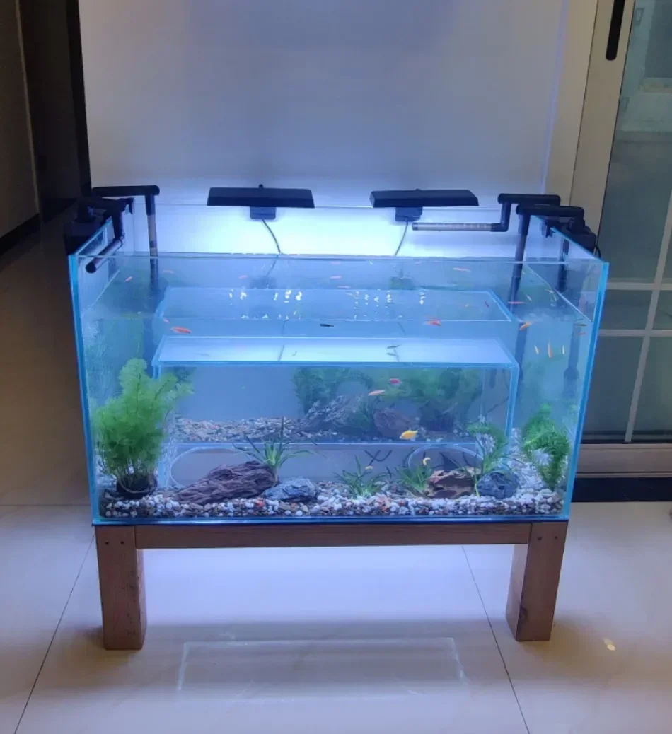 Neues Katzenbeobachtungsbecken aus Superweißglas, Maßgefertigtes Aquarium, Spezialform-Fischbecken
