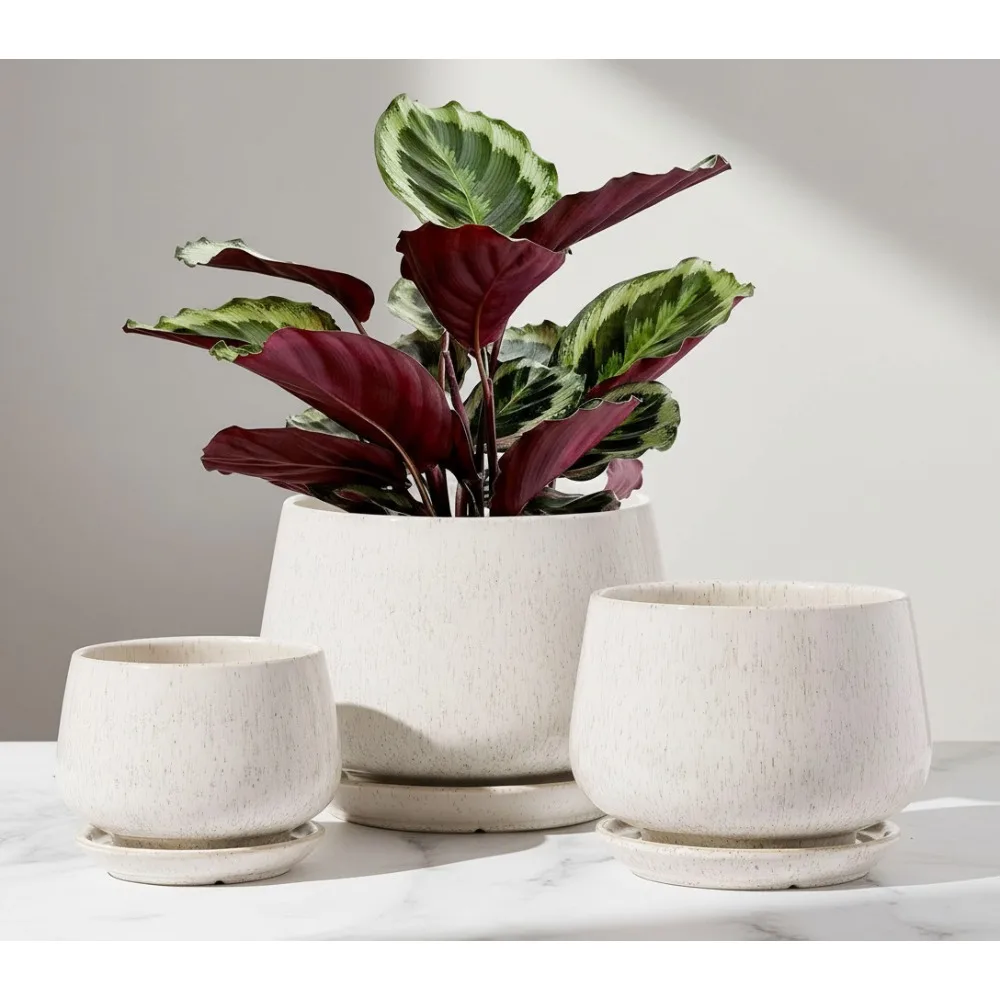 

3-Piece Ceramic Plant Pots Set with Drainage Holes & Saucers, Indoor Flower Planters for Succulents, Perfect Gift for Mom