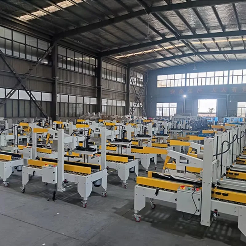 Carton Forming Sealing Strapping Equipment End of Line Box Sealer Strapper System Custom