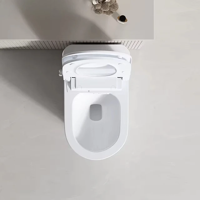 Electronic PP Smart Bidet Toilet Seat, Self-Cleaning & Heating Automatic Toilet Lid for Sale